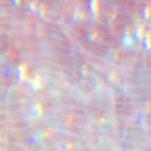 Meet your Posher, Keili